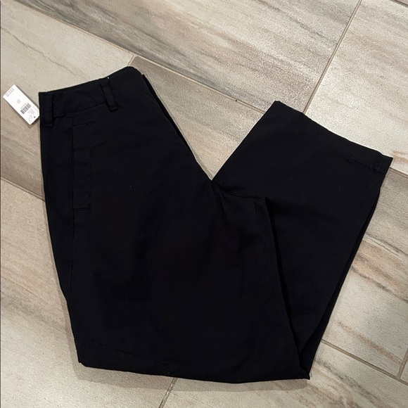 Anthropologie the Arin Mid Rise Button Pants by Pilcro - Picture 7 of 8